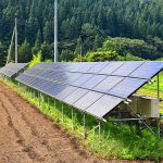 営農型太陽光発電とは？農地転用型太陽光発電との違いや取り組み事例も